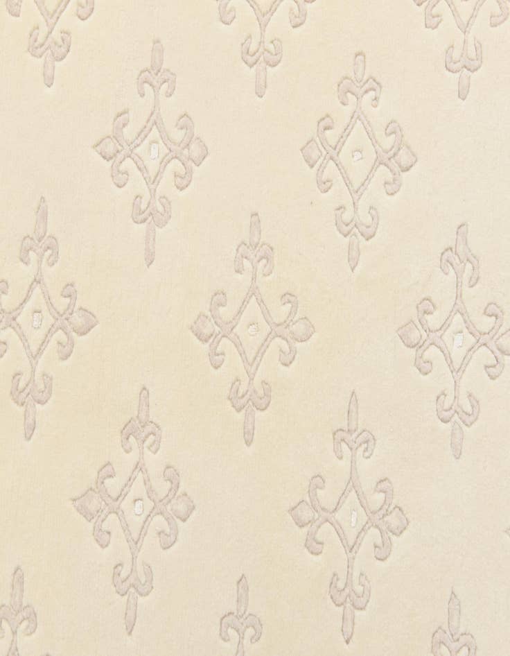 Detail image of  6' 7 x 9' 8  Hand Knotted Darya Wool Rug