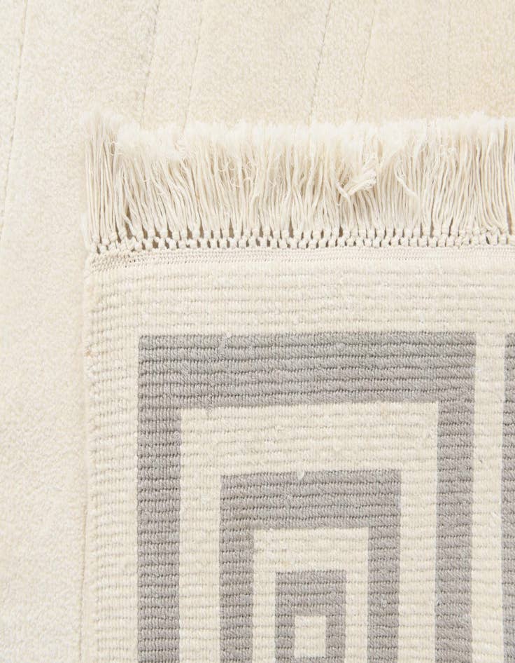 Detail image of  6' 7 x 9' 9  Hand Knotted Darya Wool Rug