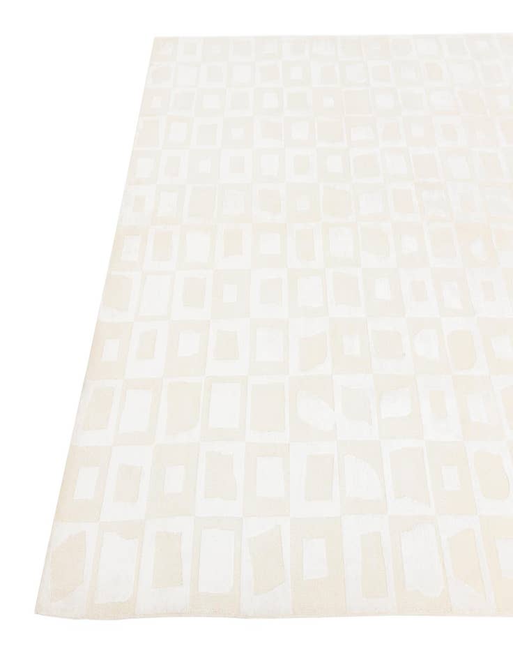 Detail image of  6' 9 x 10' 3  Hand Knotted Darya Wool Rug