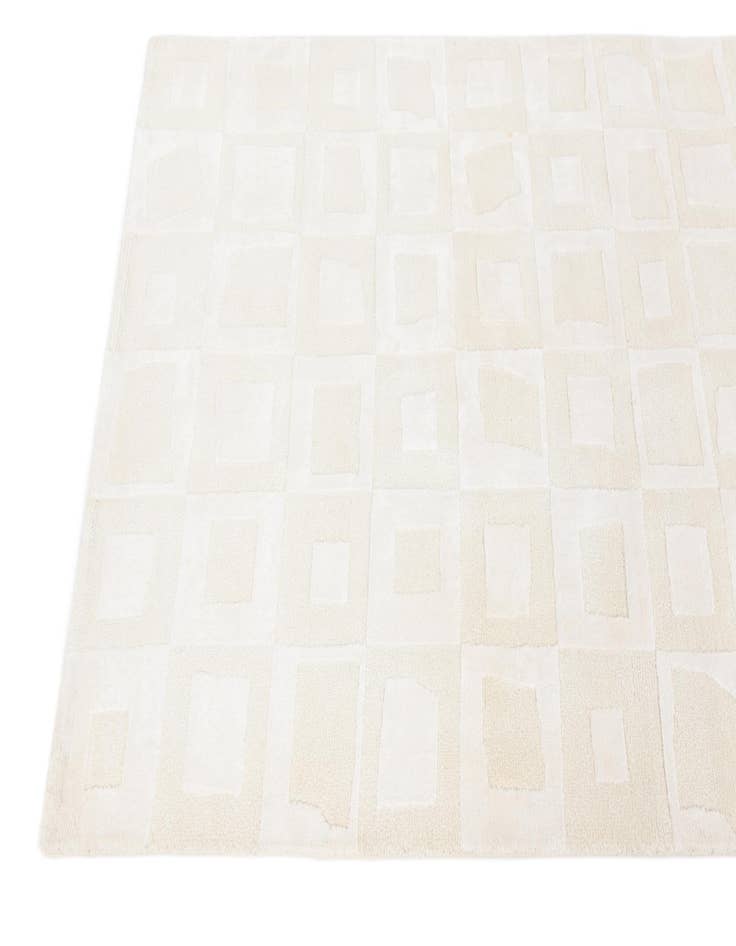 Detail image of  2' 9 x 5'  Hand Knotted Darya Wool Rug