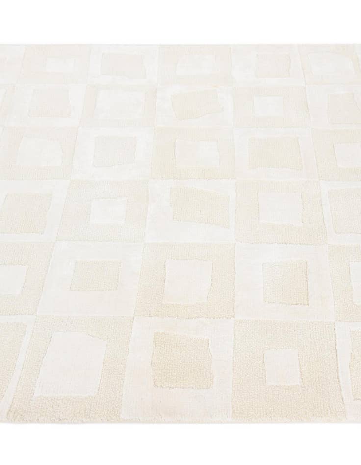 Detail image of  2' 9 x 5'  Hand Knotted Darya Wool Rug