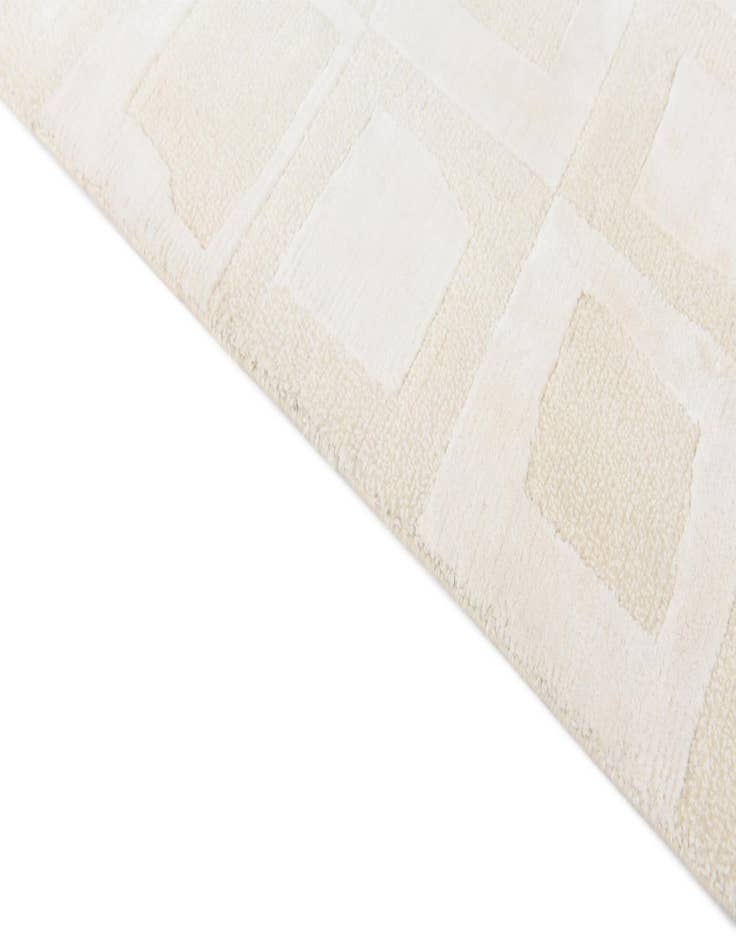 Detail image of  2' 9 x 5'  Hand Knotted Darya Wool Rug