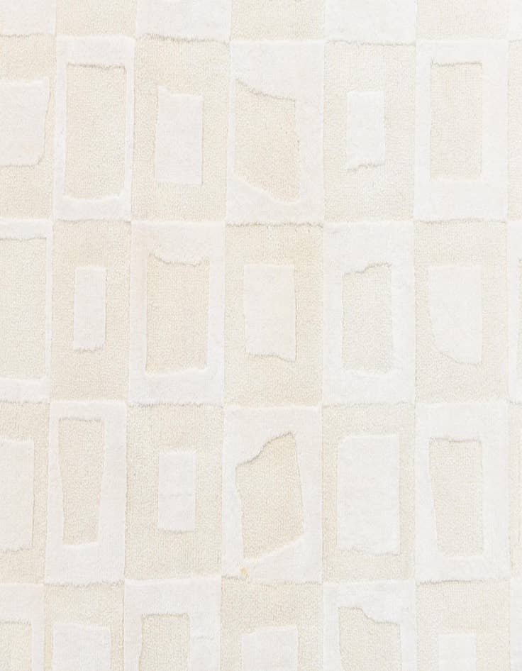 Detail image of  2' 9 x 5'  Hand Knotted Darya Wool Rug