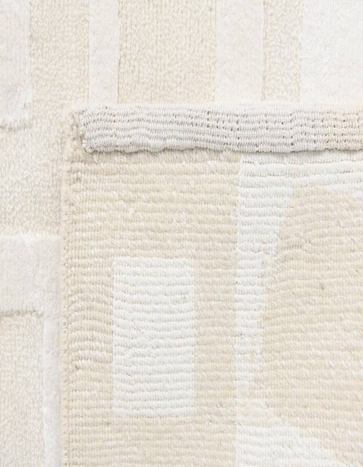 Detail image of  2' 9 x 5'  Hand Knotted Darya Wool Rug