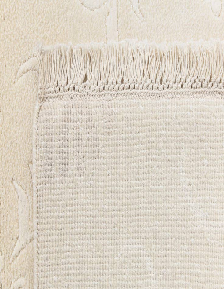 Detail image of  2' 11 x 5'  Hand Knotted Darya Wool Rug