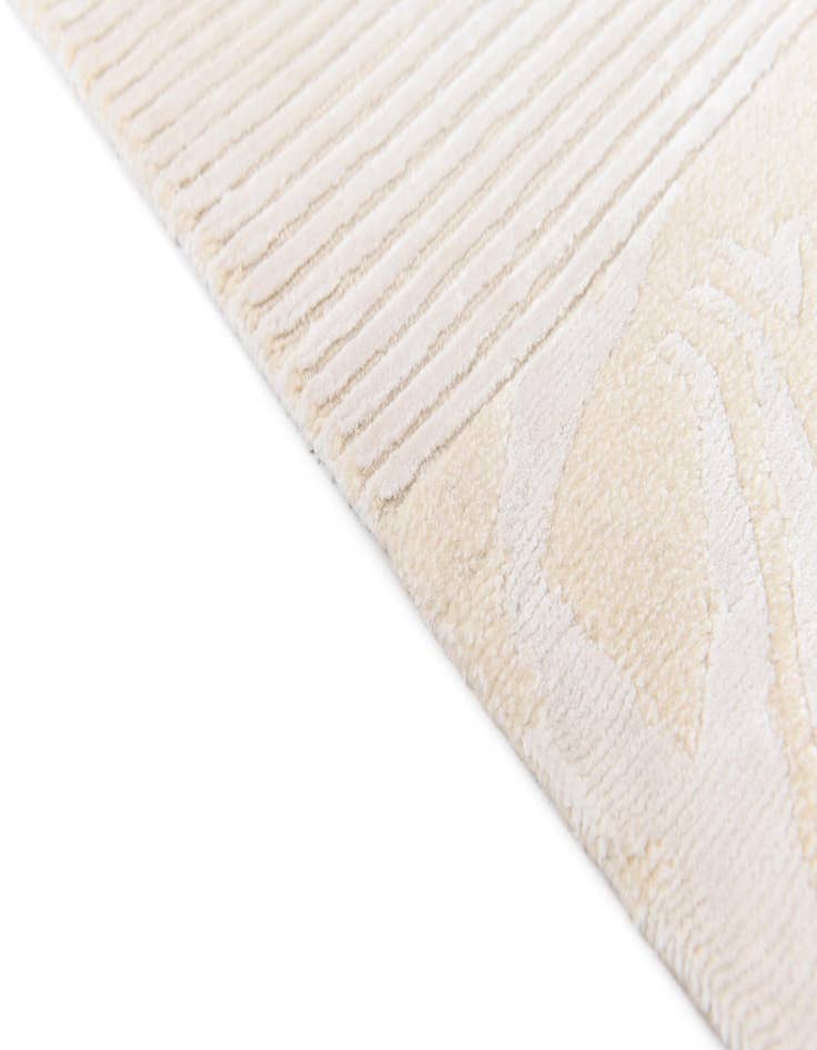 Detail image of  3' 1 x 4' 11  Hand Knotted Darya Wool Rug