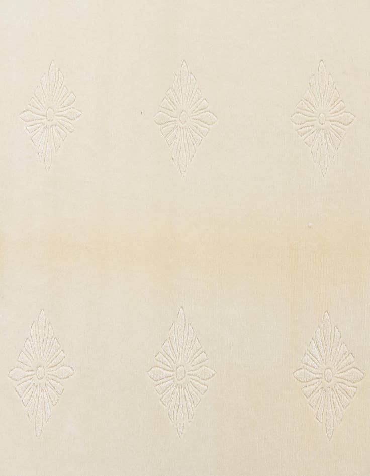 Detail image of  4' 6 x 6' 8  Hand Knotted Darya Wool Rug