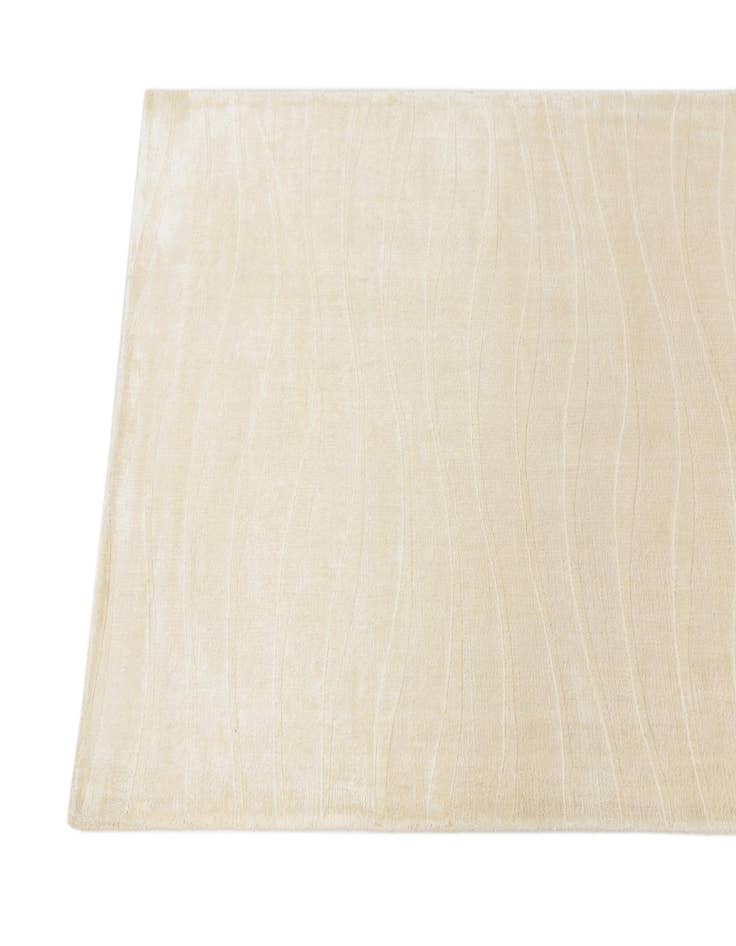 Detail image of  2' 7 x 4' 9  Hand Knotted Darya Wool Rug