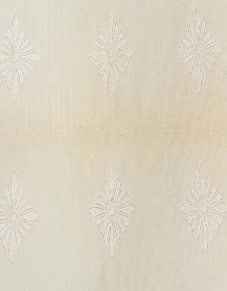 Detail image of  3' 11 x 5' 11  Hand Knotted Darya Wool Rug