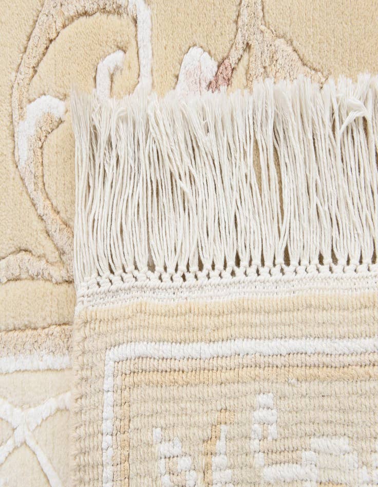 Detail image of  2' 9 x 5'  Hand Knotted Darya Wool Rug