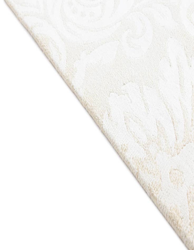 Detail image of  3' 1 x 5'  Hand Knotted Darya Wool Rug