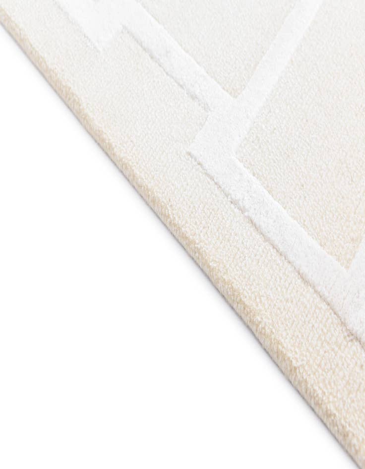 Detail image of  3' x 4' 11  Hand Knotted Darya Wool Rug