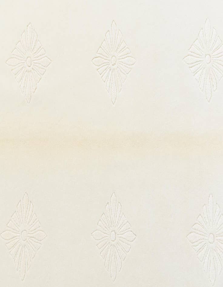 Detail image of  4' 8 x 6' 8  Hand Knotted Darya Wool Rug