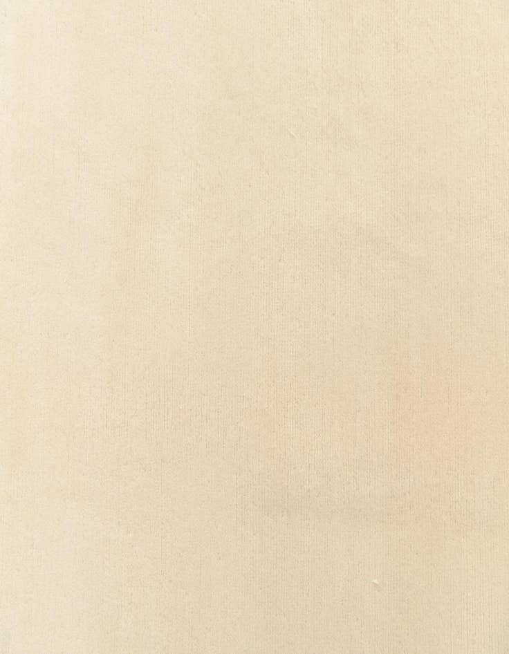 Detail image of  6' 6 x 9' 7  Hand Knotted Darya Wool Rug