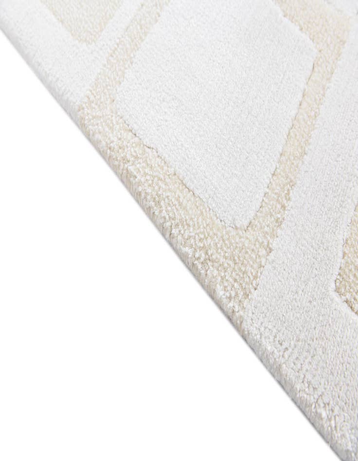 Detail image of  6' 7 x 10' 2  Hand Knotted Darya Wool Rug