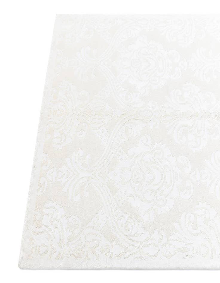 Detail image of  3' 11 x 6' 1 Darya Rug