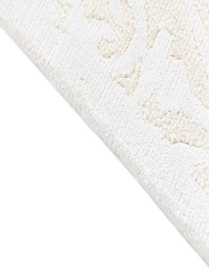 Detail image of  3' 11 x 6' 1 Darya Rug