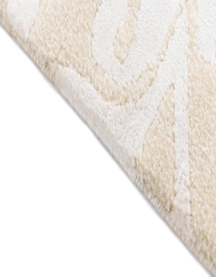 Detail image of  4' x 6' 1 Darya Rug