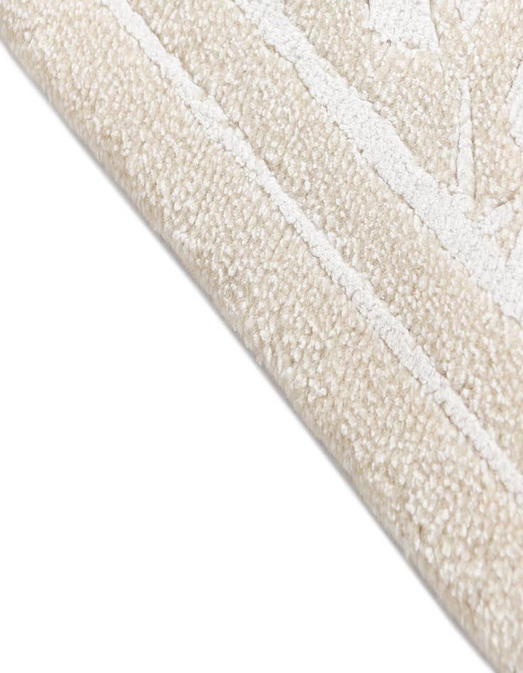 Detail image of  4' 2 x 6' Darya Rug