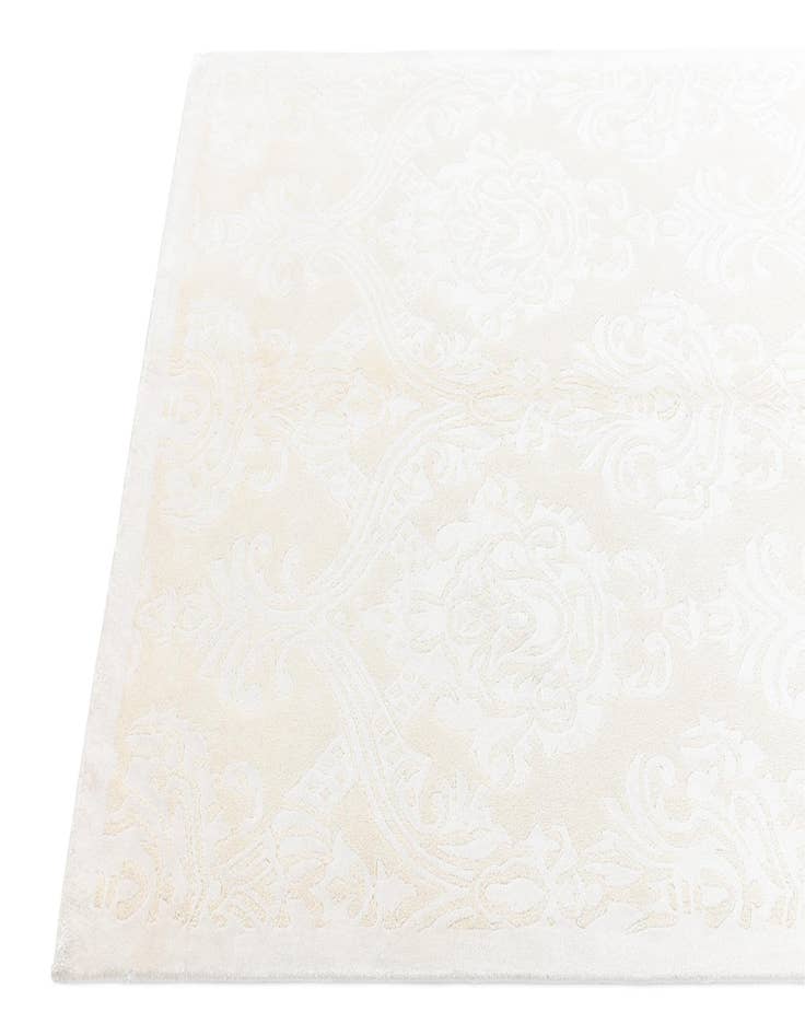 Detail image of  3' 11 x 6' 1 Darya Rug