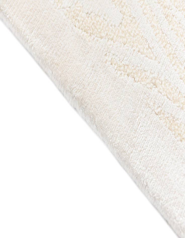 Detail image of  3' 11 x 6' 1 Darya Rug