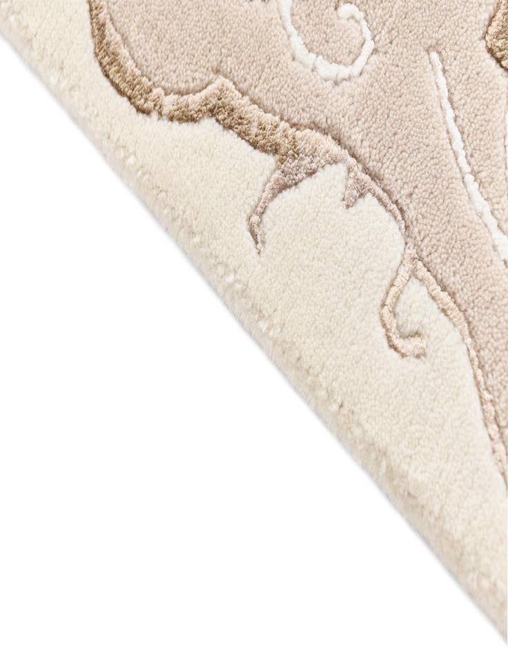 Detail image of  3' 10 x 5' 11 Darya Rug