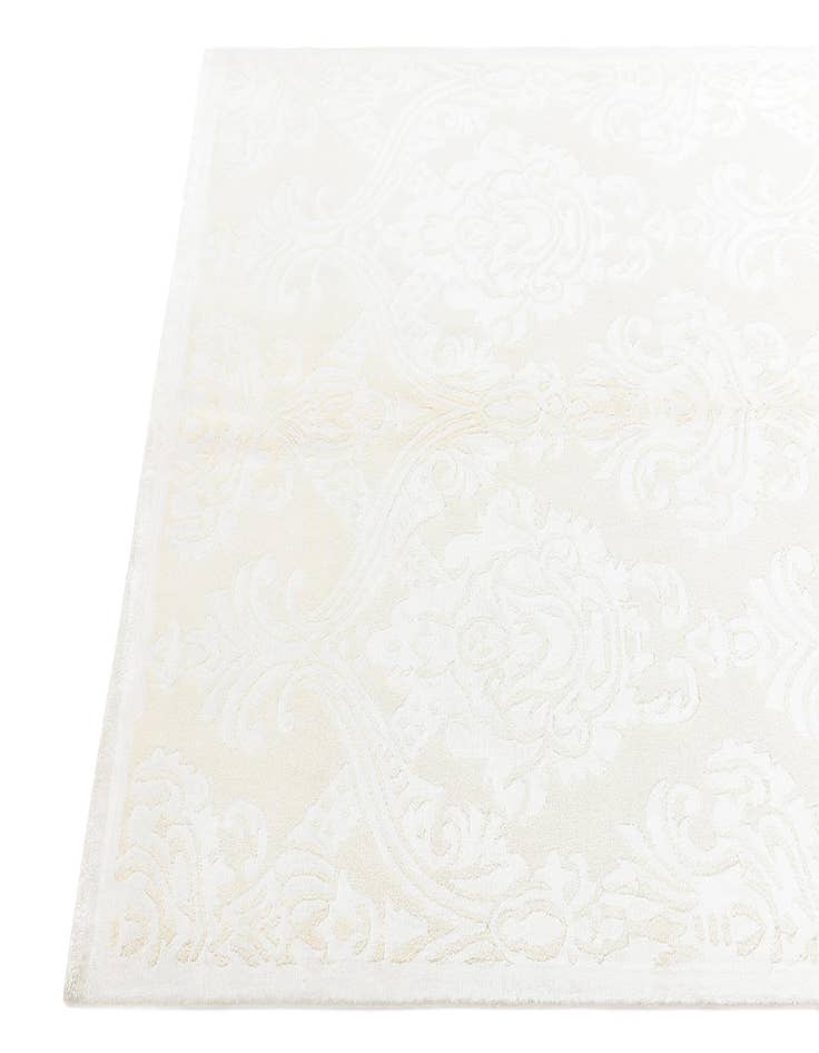 Detail image of  4' 1 x 6' Darya Rug