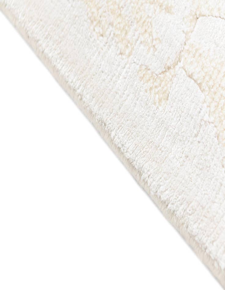 Detail image of  4' 1 x 6' Darya Rug