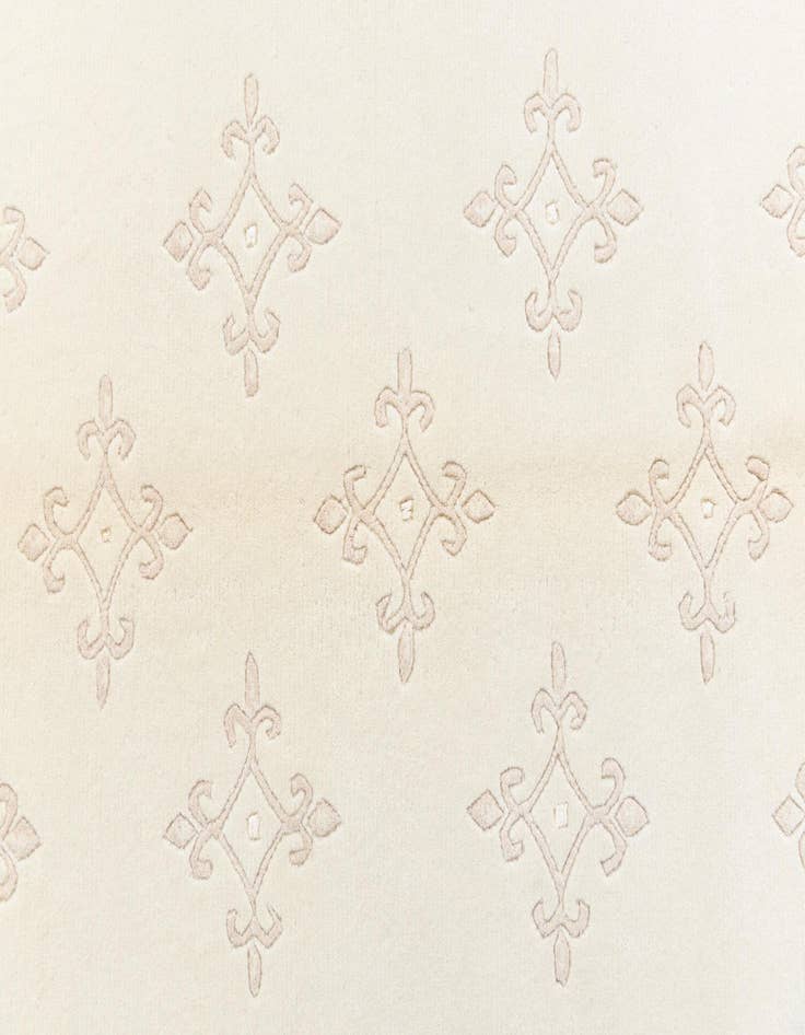 Detail image of  4' x 6' 2 Darya Rug