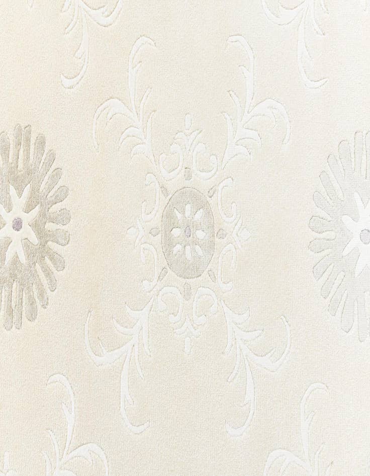 Detail image of  4' x 6' 1 Darya Rug