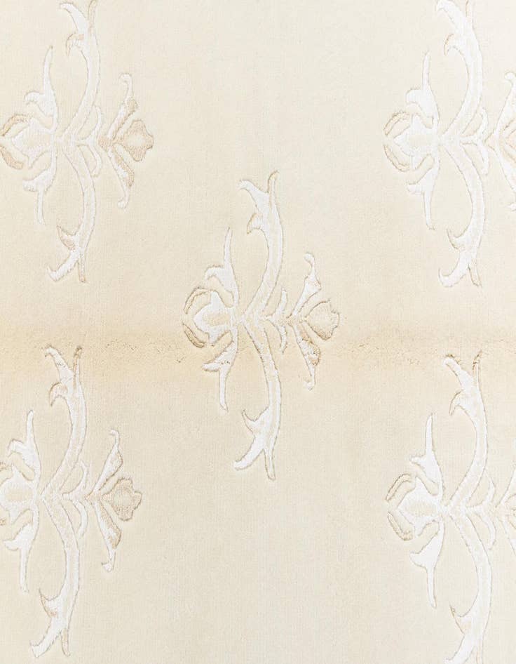 Detail image of  4' x 6' 2 Darya Rug