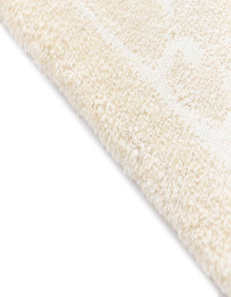 Detail image of  4' 1 x 6' 2 Darya Rug