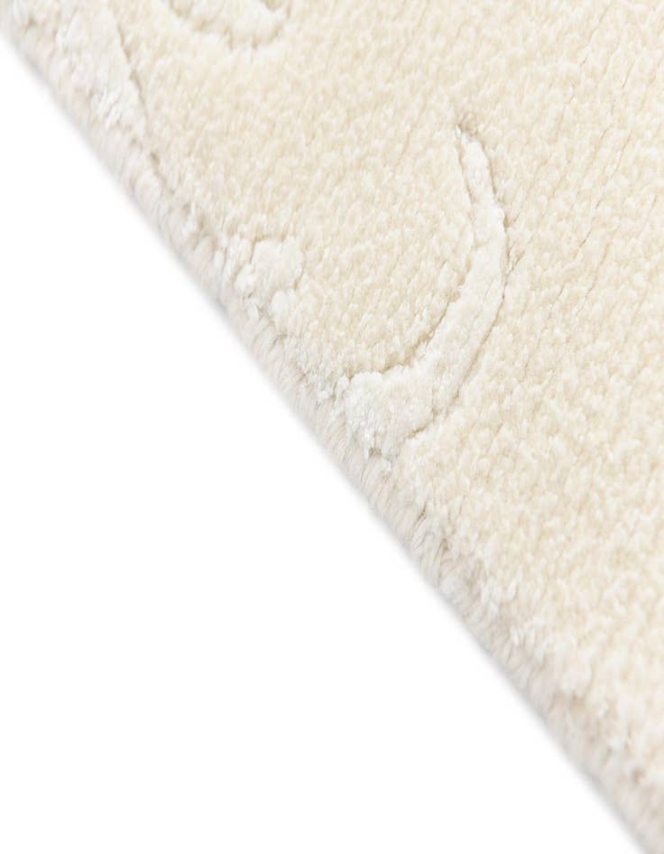 Detail image of  3' 11 x 6' Darya Rug