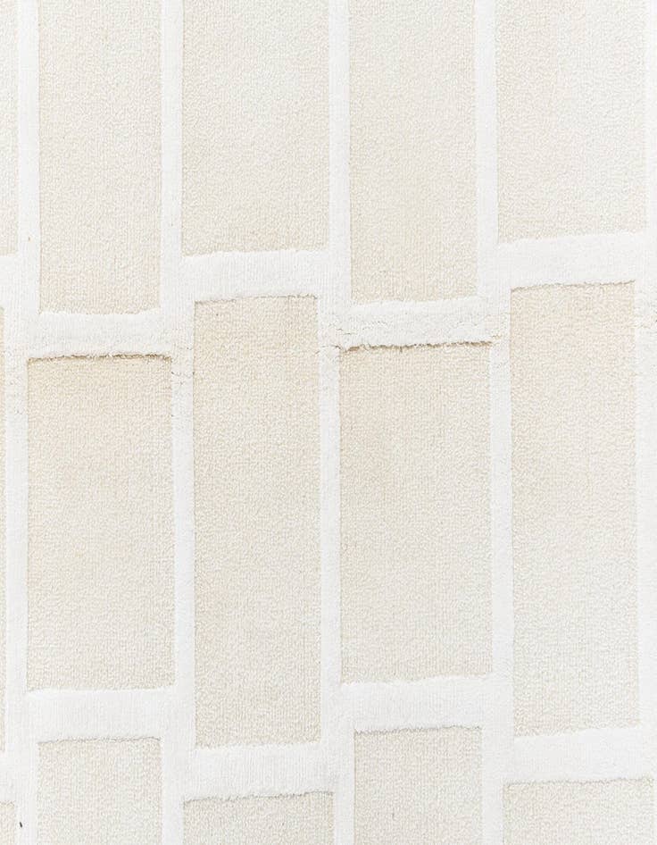 Detail image of  3' 11 x 5' 11 Darya Rug