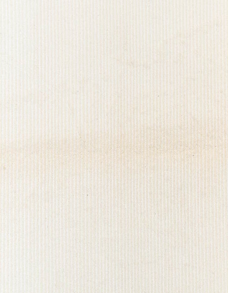 Detail image of  4' 1 x 6' 1 Darya Rug