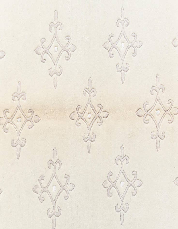 Detail image of  4' x 6' 2 Darya Rug