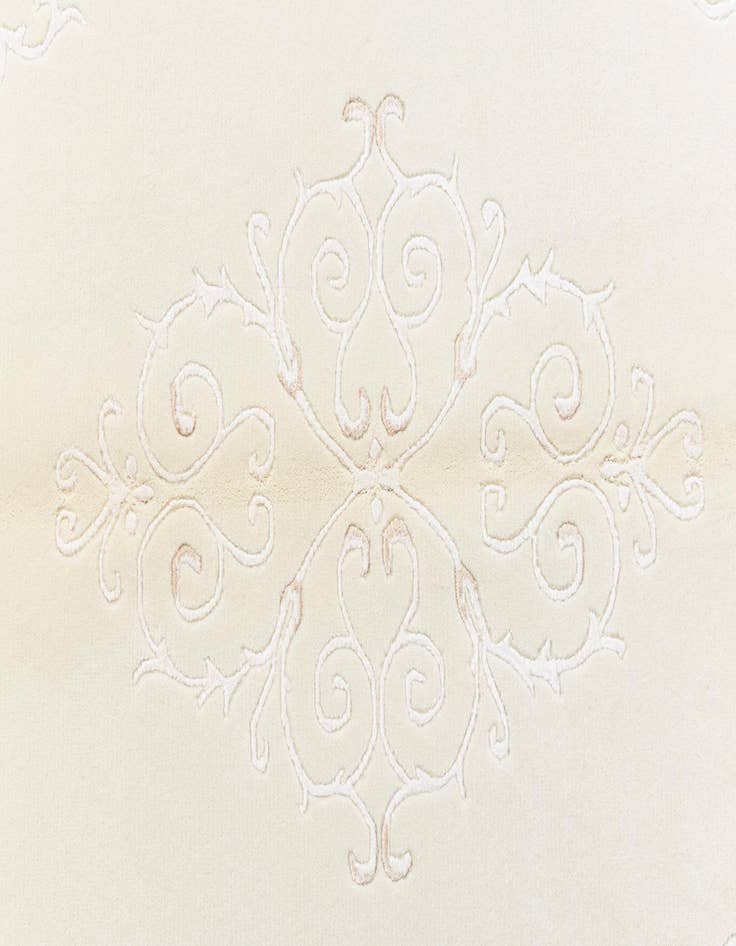 Detail image of  4' x 6' 1 Darya Rug