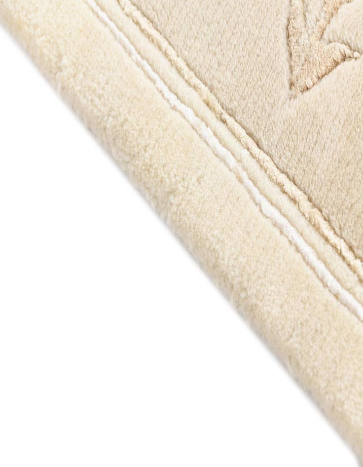 Detail image of  4' x 5' 11 Darya Rug