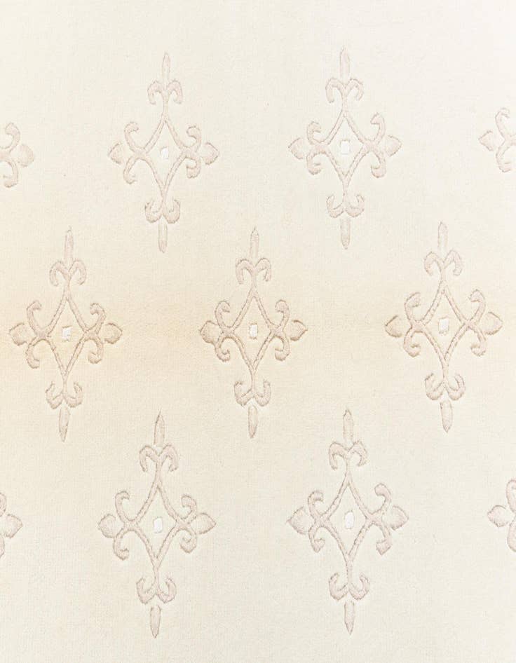 Detail image of  4' x 6' 1 Darya Rug