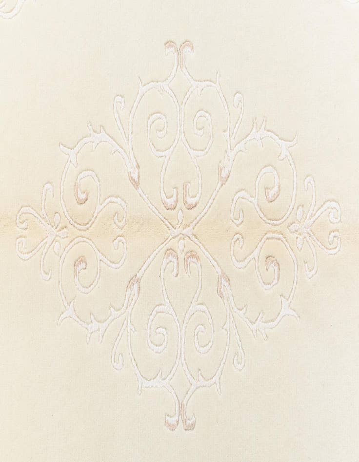 Detail image of  4' x 5' 11 Darya Rug