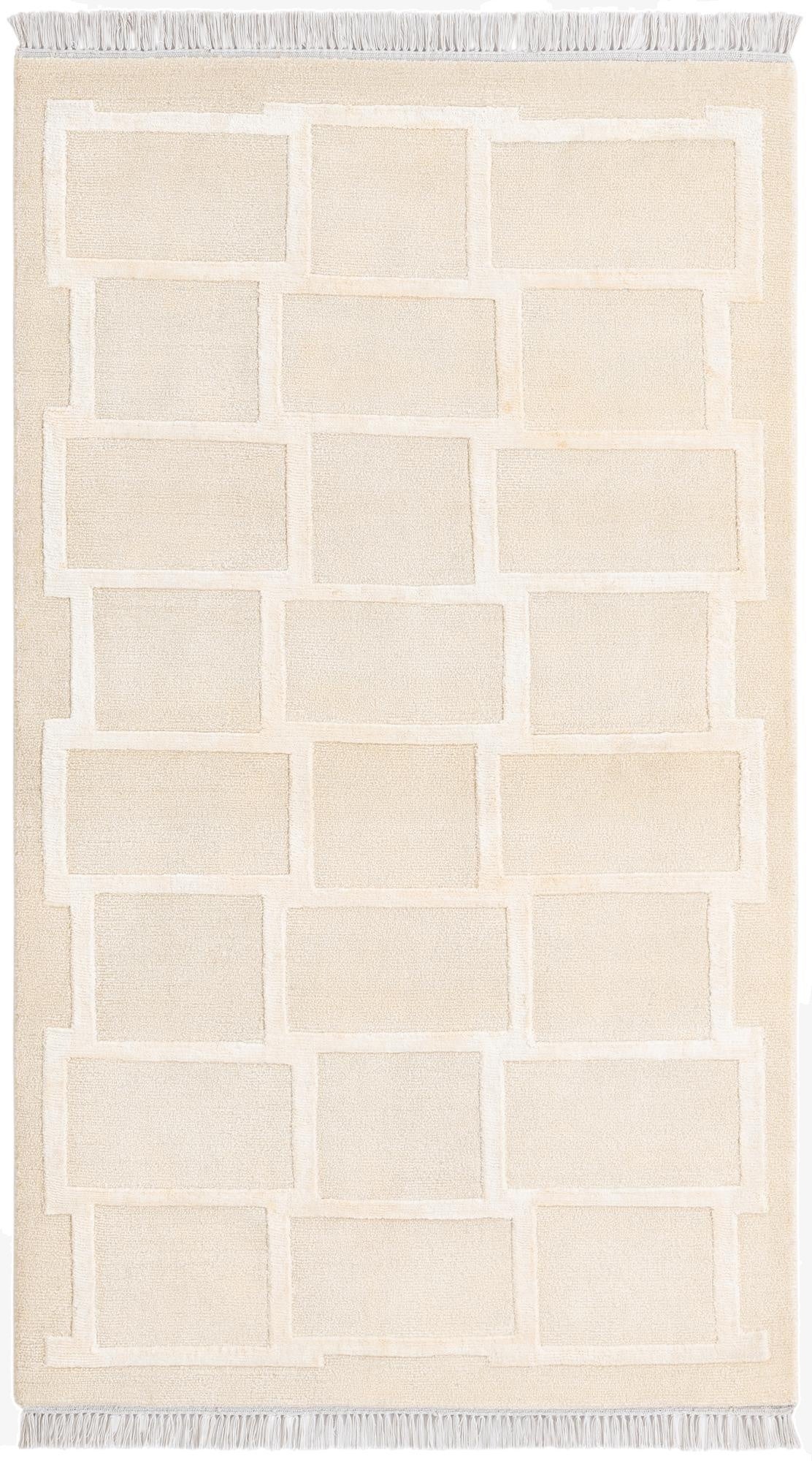  2' 11 x 5' 1  Hand Knotted Darya Wool Rug