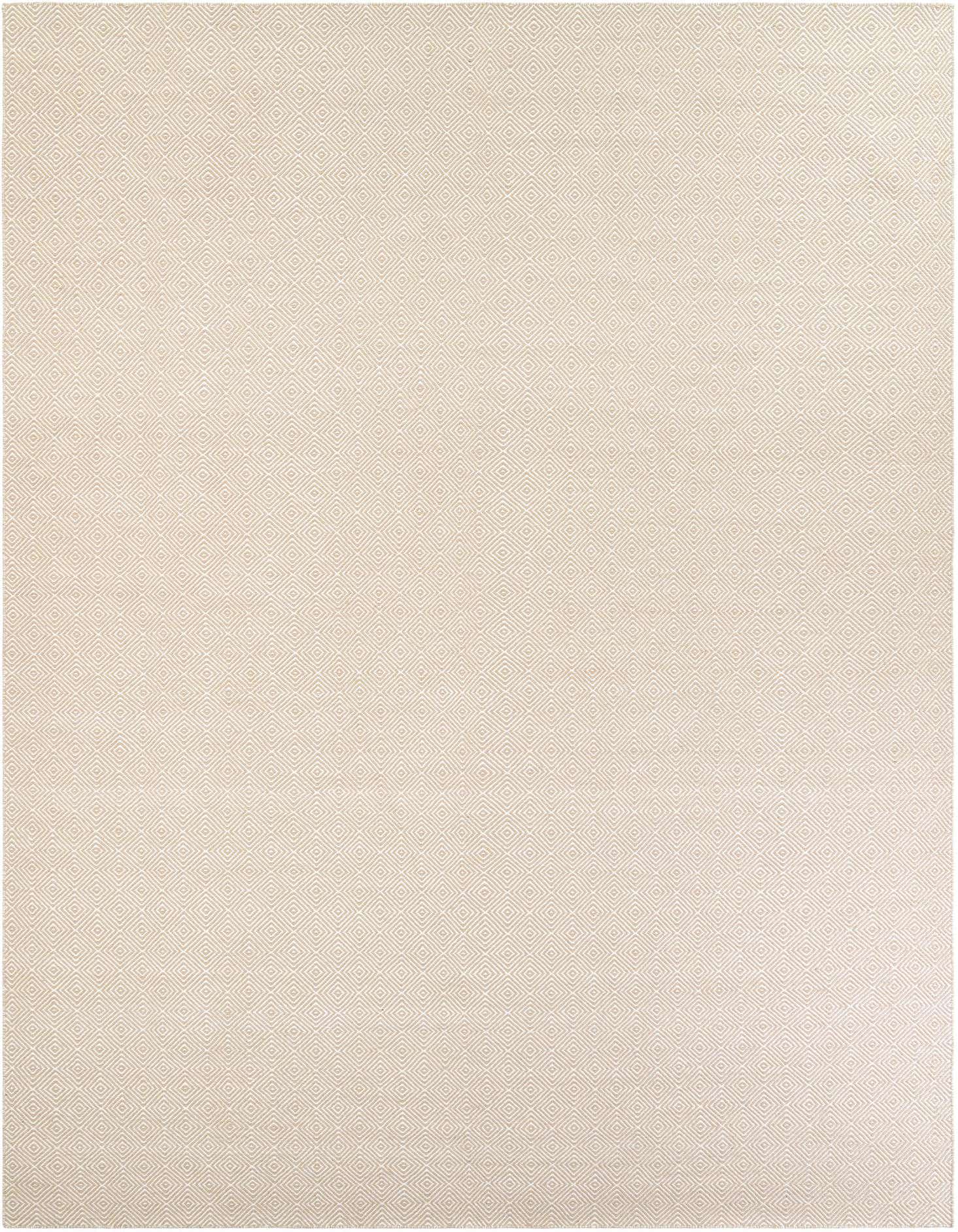 Primary image  10' x 14' 1  Hand Woven Geo Trellis Flatweave Rug