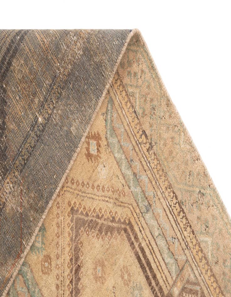 Detail image of  3' 10 x 8' 10 Hamedan Rug