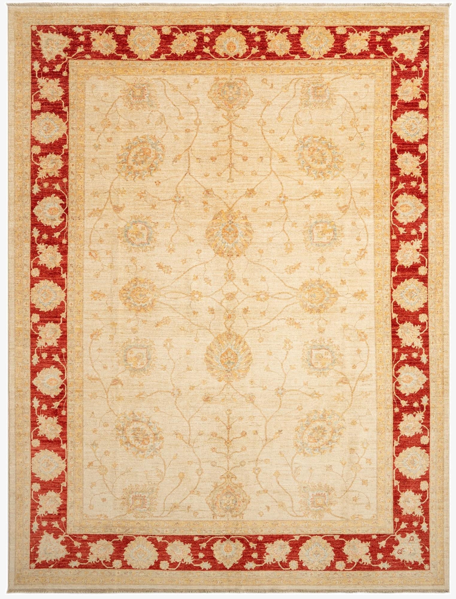  9' x 11' 11 Kaizar Wool Rug