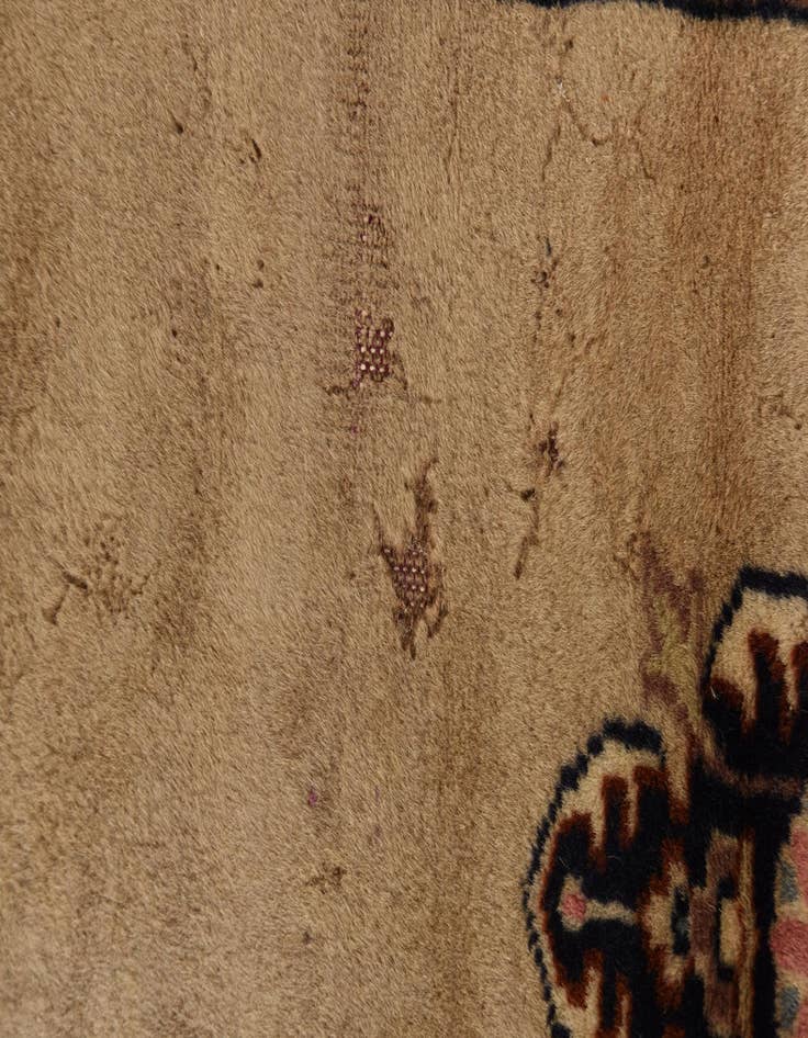 Detail image of  4' 3 x 6' 4  Hand Knotted Lahour Oriental Rug