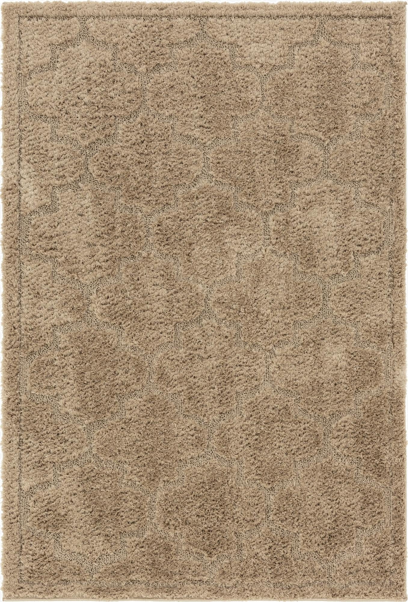  4' x 6' Lattice Shag Rug