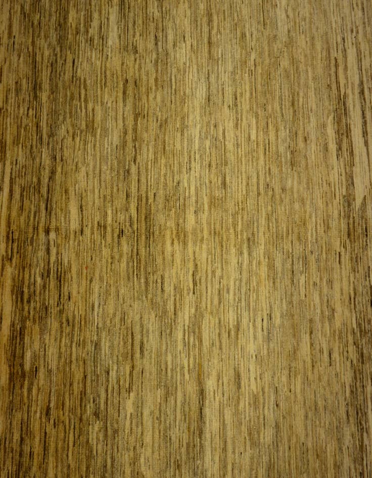 Detail image of  4' 8 x 6' 5  Hand Knotted Modern Ziegler Oriental Rug