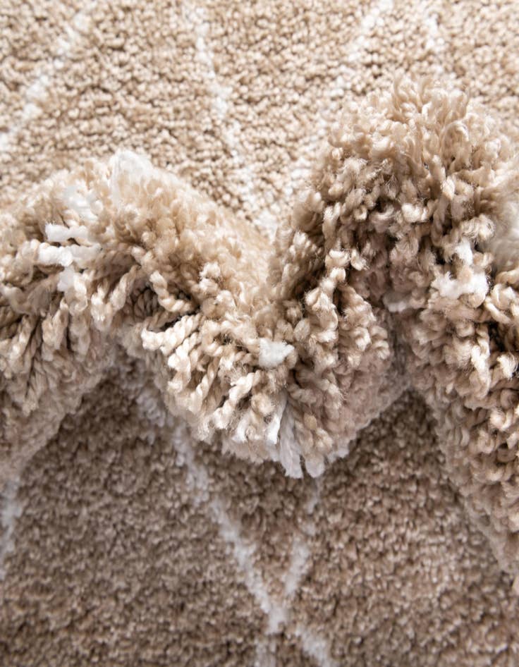 Detail image of  4' x 6' Moroccan Shag Rug