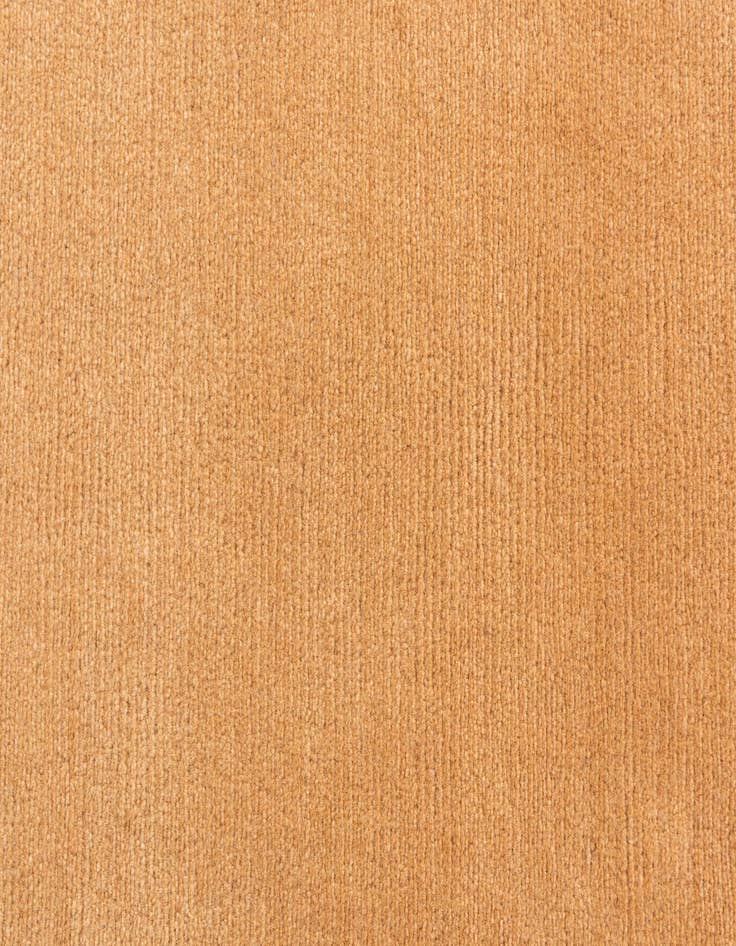 Detail image of  3' x 5' 6  Hand Knotted Nepal Rug