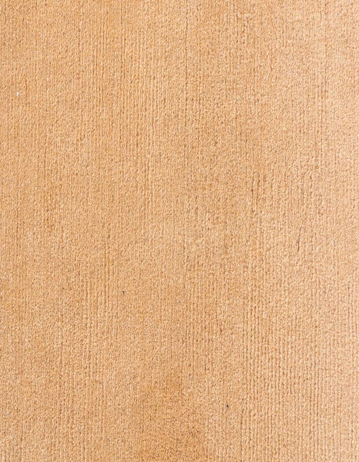 Detail image of 3' 1 x 5' 4 Hand Knotted Nepal Rug